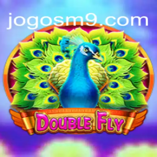 DoubleFly: Guia Completo para Iniciantes